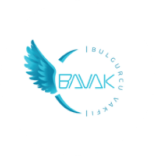 BAVAK-1