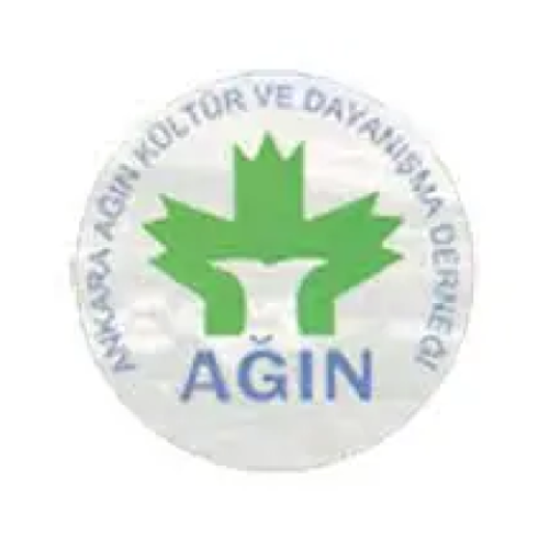 agin-logo