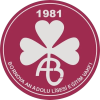 bornova-anadolu-lisesi-logo